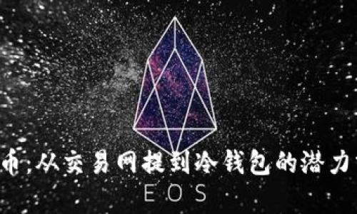 FIL币：从交易网提到冷钱包的潜力分析