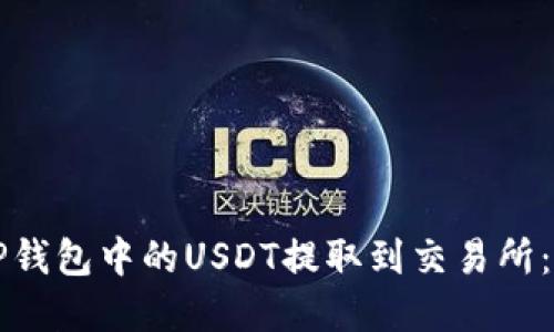 如何将TP钱包中的USDT提取到交易所：完整指南