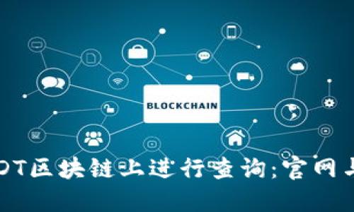 如何在USDT区块链上进行查询：官网与应用指南