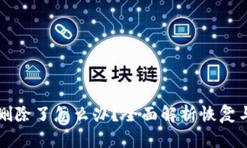 TB冷钱包删除了怎么办？全面解析恢复与安全保障