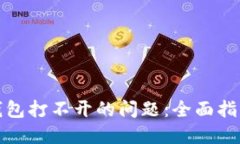 如何解决冷钱包打不开的问题：全面指导与应对