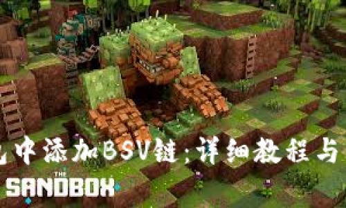 如何在im钱包中添加BSV链：详细教程与常见问题解答