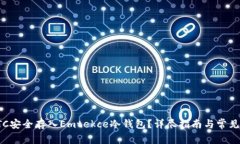 如何将ETC安全存入Emtekce冷钱包？详尽指南与常见