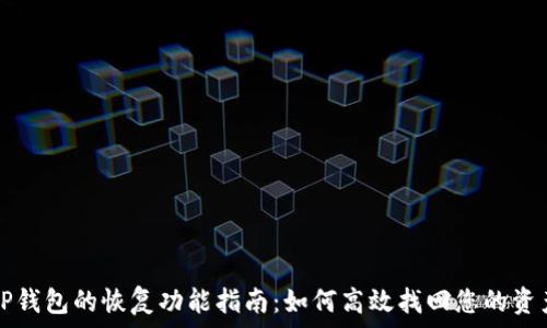  
TP钱包的恢复功能指南：如何高效找回您的资产