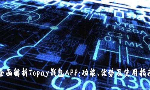 全面解析Topay钱包APP：功能、优势及使用指南