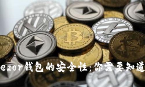 探讨Trezor钱包的安全性：你需要知道的一切