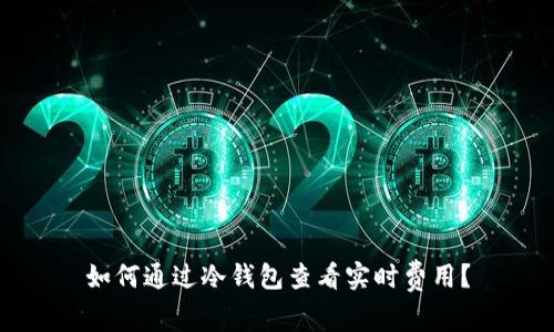 如何通过冷钱包查看实时费用？